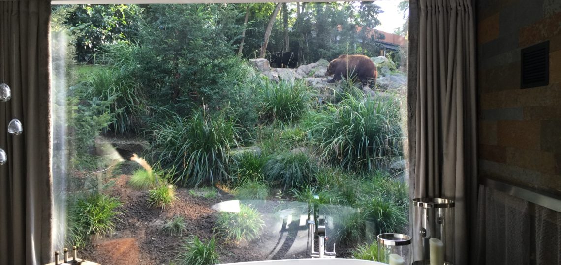Zoo de La Flèche