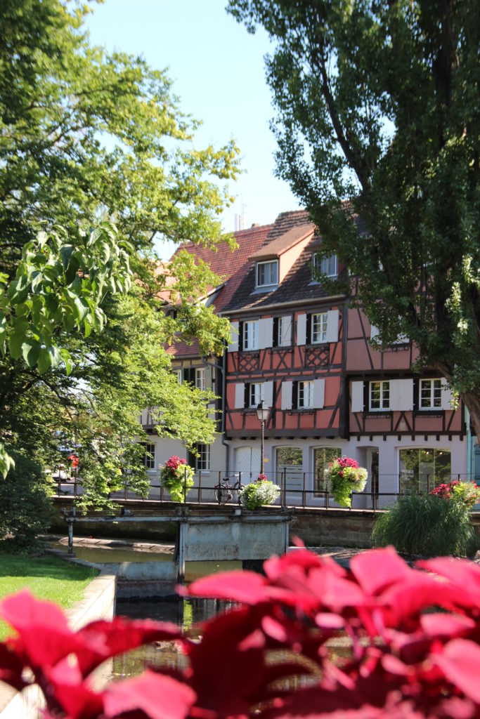 Colmar