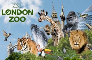 Zoo de Londres