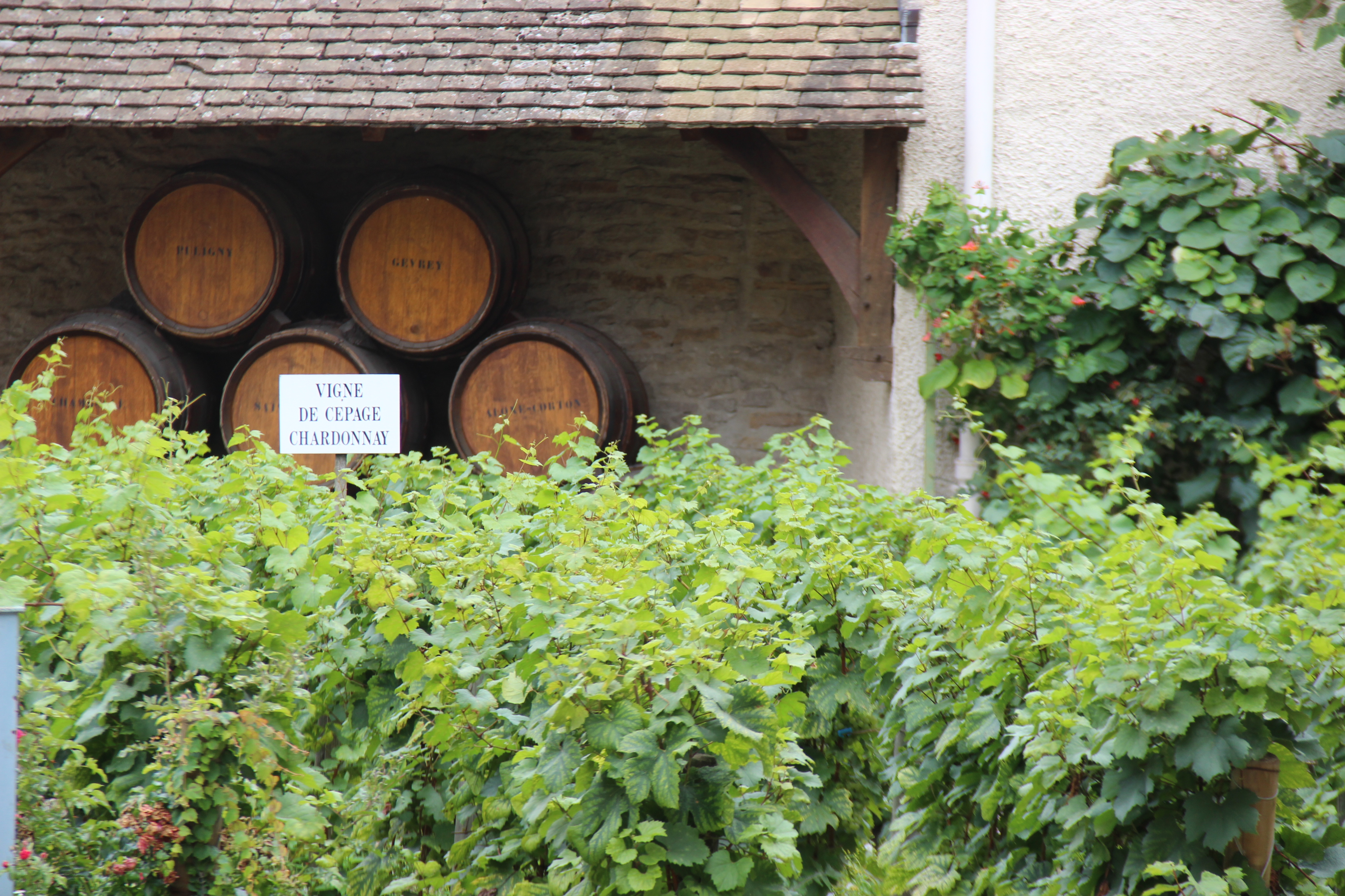 Nuits-Saint-Georges