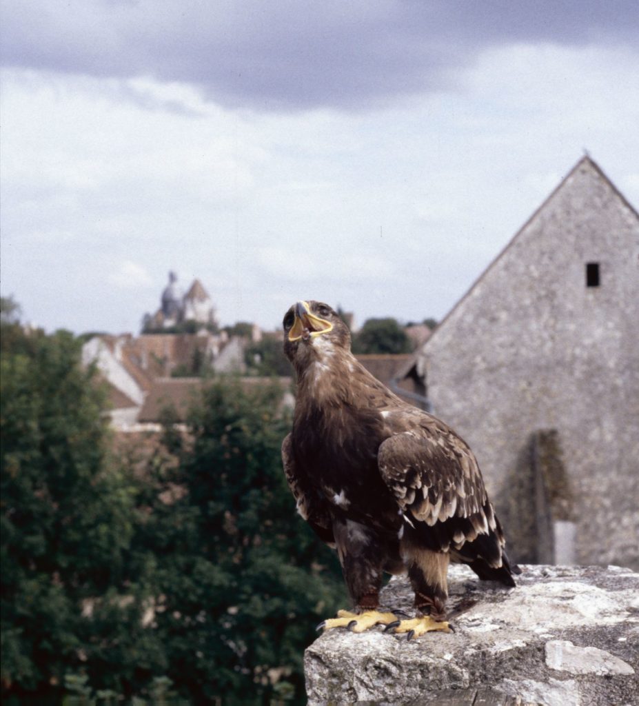 Provins
