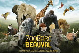 Zoo de Beauval